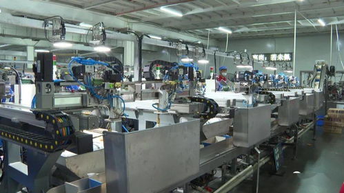 袋裝螺螄粉 包裝機器人 上線